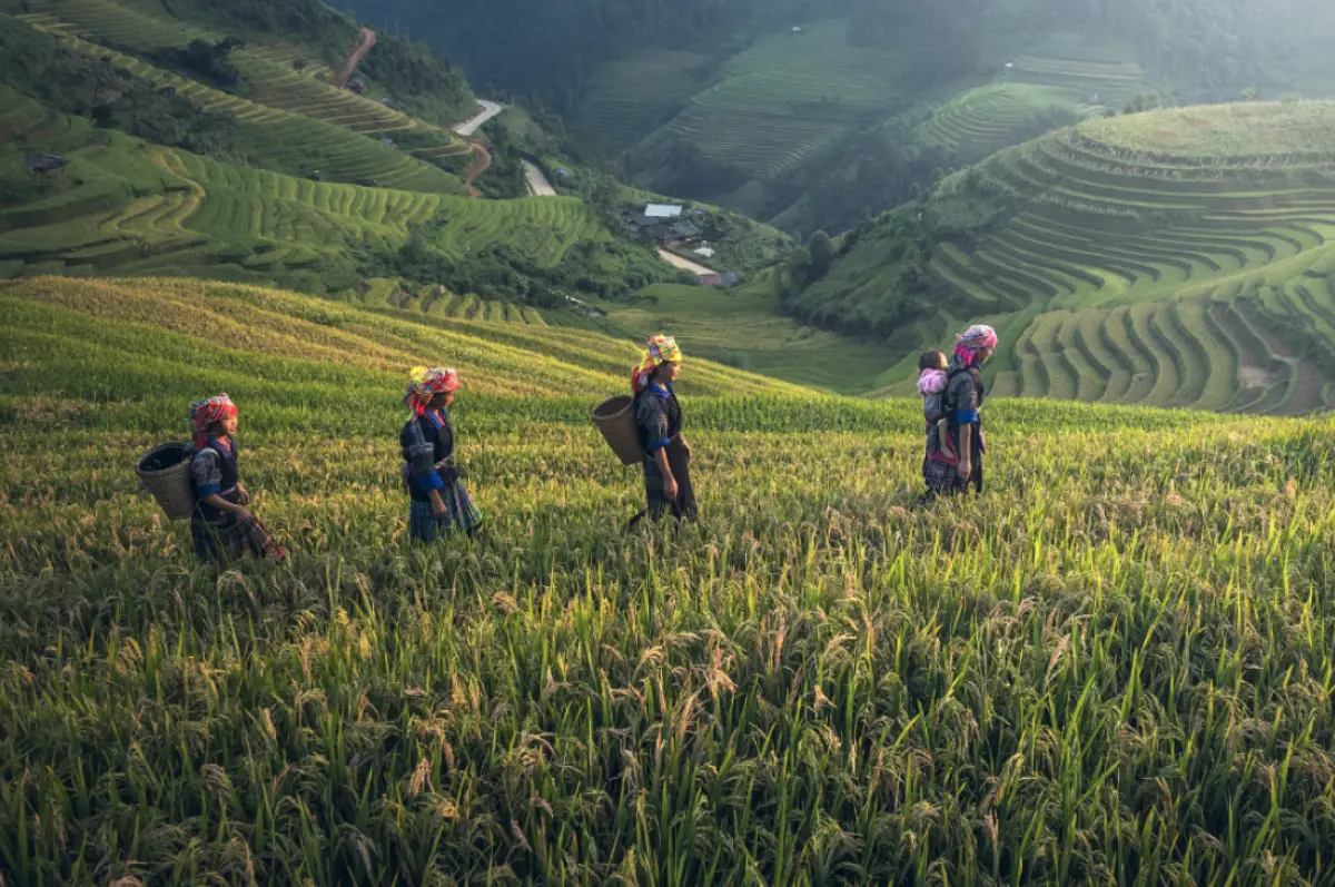 STRATEGY SUCCESS CTA