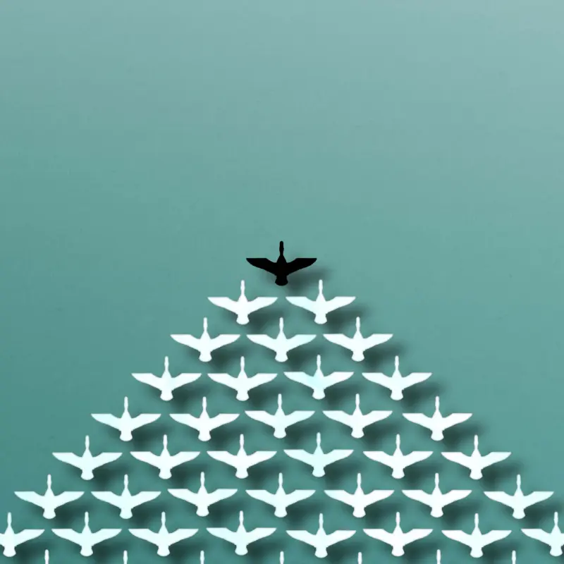 What does it mean to follow jesus article header