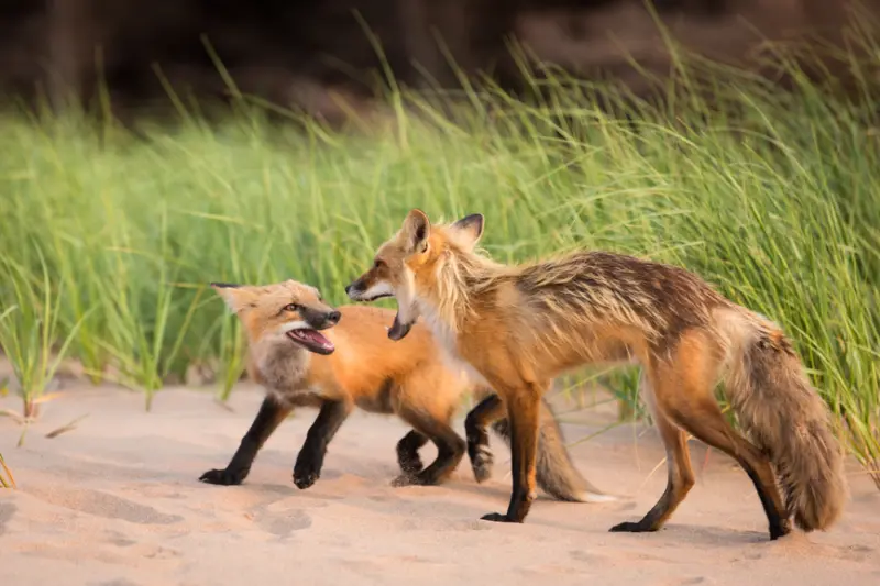 Are atheists and christians enemies article header