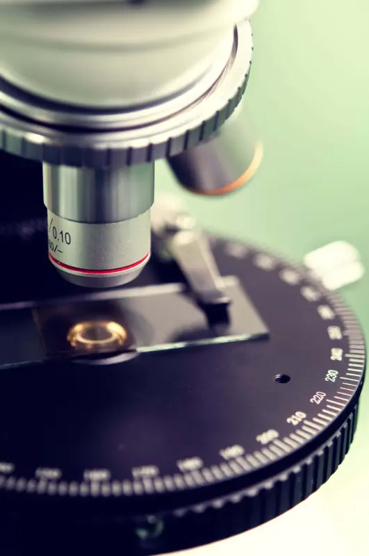 Is god real article header