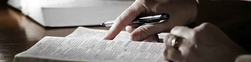 What the bible says about the bible whitepaper header