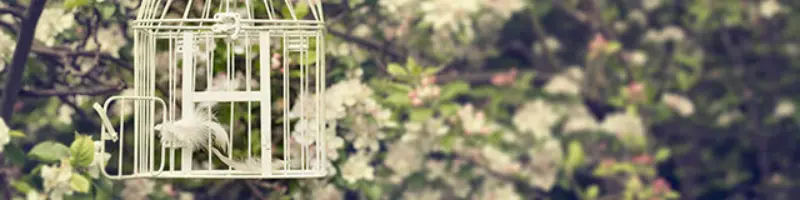 What the bible says about truth whitepaper header