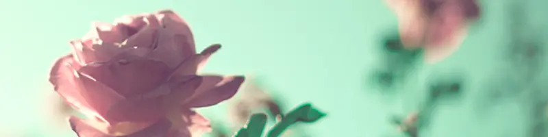 What the bible says about love whitepaper header