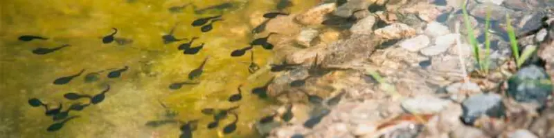 A deeper look at the origin of life article header