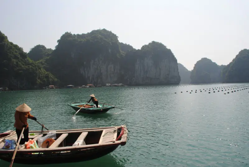 Ha long bay vietnam
