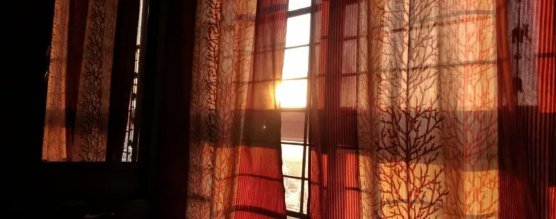 Maria 2 s Story photo