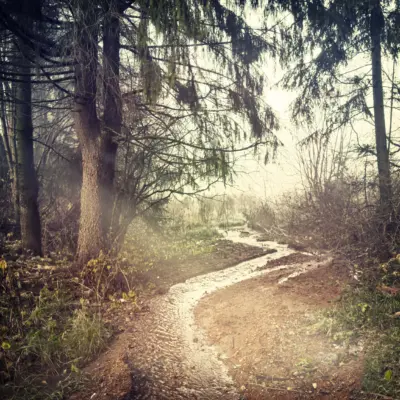 How Can I Grow Spiritually?