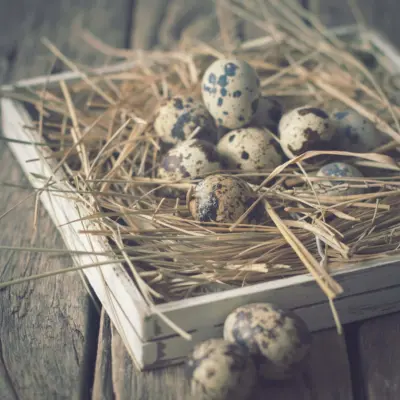 What Does Jesus's Death Have to Do with Easter?