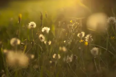 Who Is the Holy Spirit?