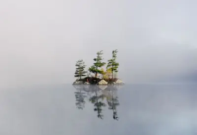 Should Christians Care about the Environment?