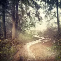 How can i grow spiritually article header