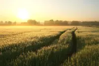 Why am i here article header