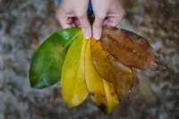 Are jehovah witnesses christians article header