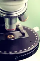 Is god real article header