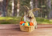 The easter bunny and jesus article thumbnail