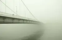 We all wonder article header